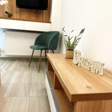 Victory Luxury Apartment *